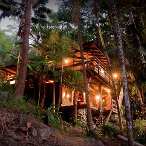 Currumbin Rainforest Treehouse Currumbin Valley
